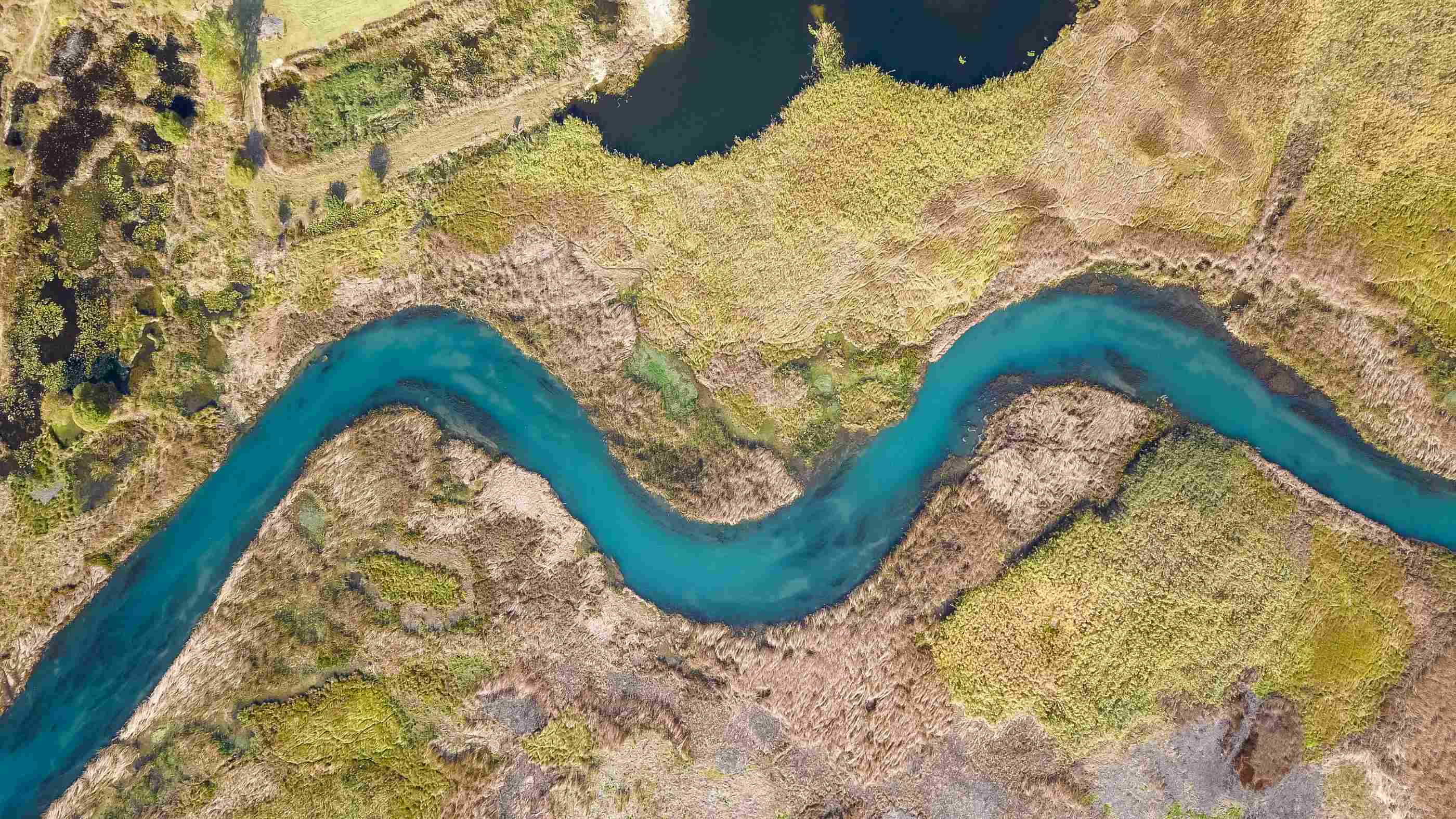 Analyzing conservation and water management.